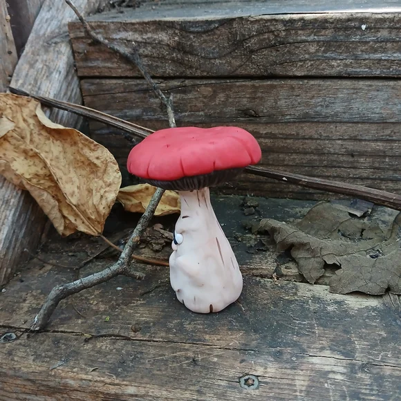 🧡🤎Mushroom Face 🥀🌸 Funny 🍄🟫🍄 - Picture 2 of 7